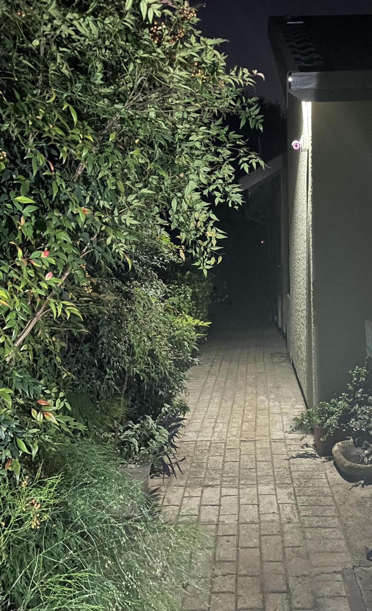 Celtis Lane Guest House بوكسبرغ المظهر الخارجي الصورة
