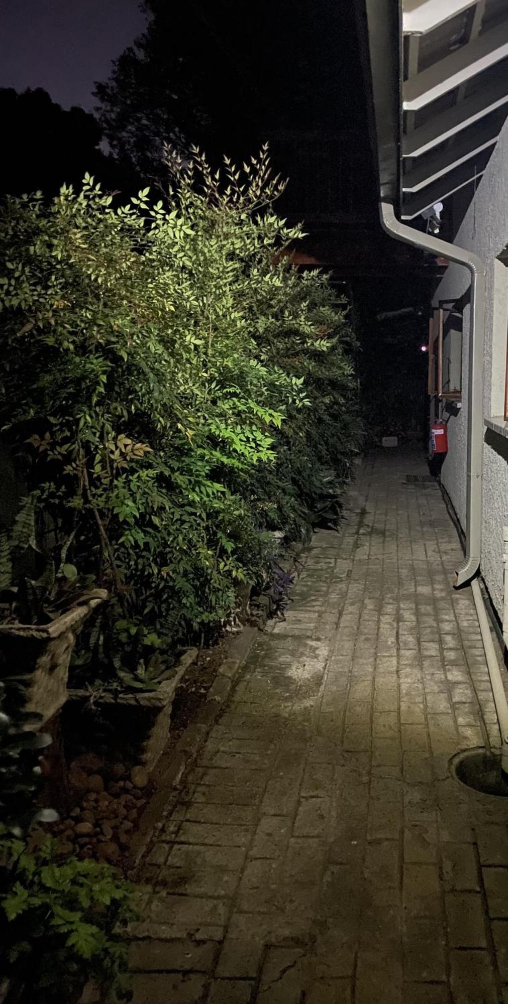 Celtis Lane Guest House بوكسبرغ المظهر الخارجي الصورة