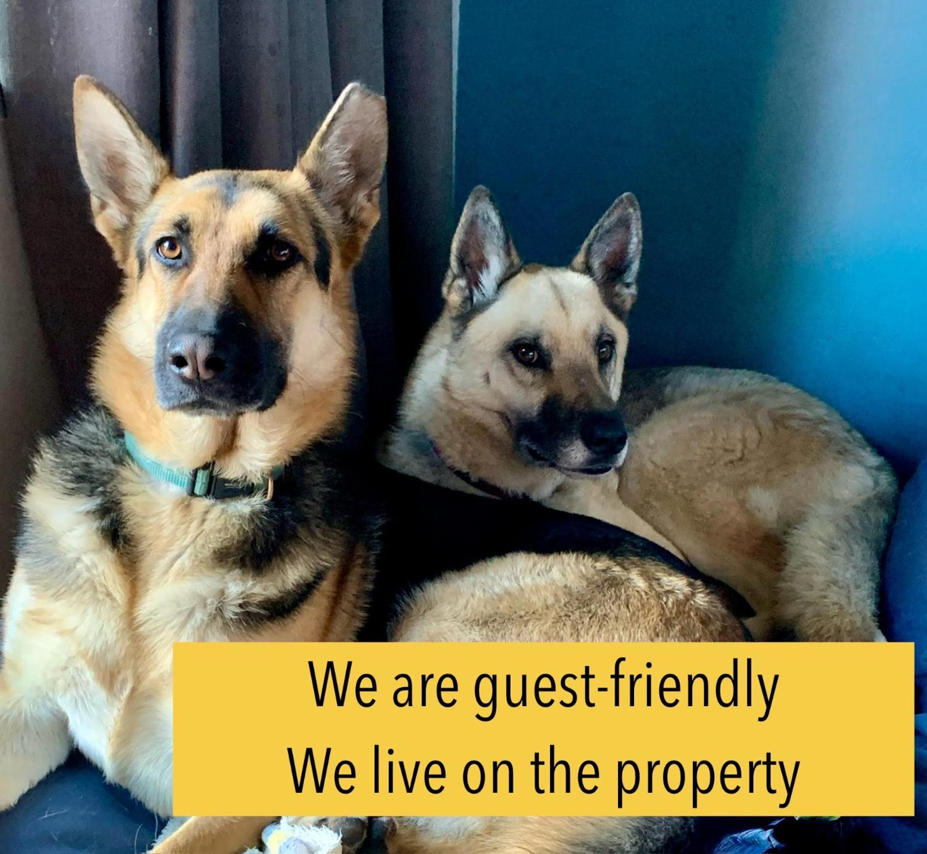 Celtis Lane Guest House بوكسبرغ المظهر الخارجي الصورة