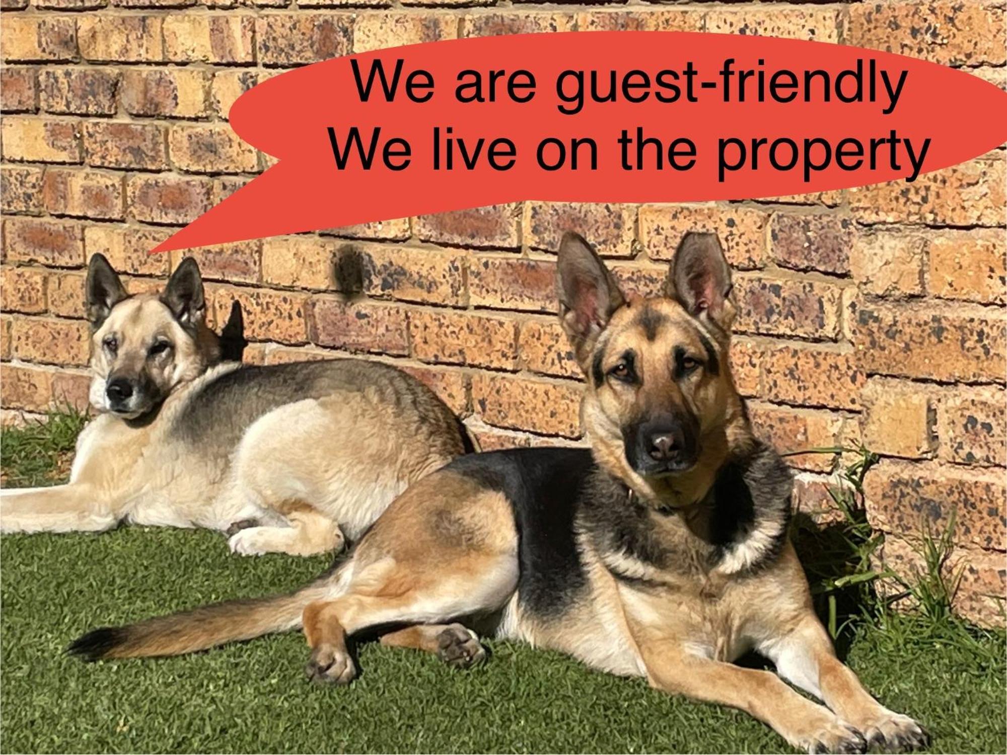 Celtis Lane Guest House بوكسبرغ المظهر الخارجي الصورة